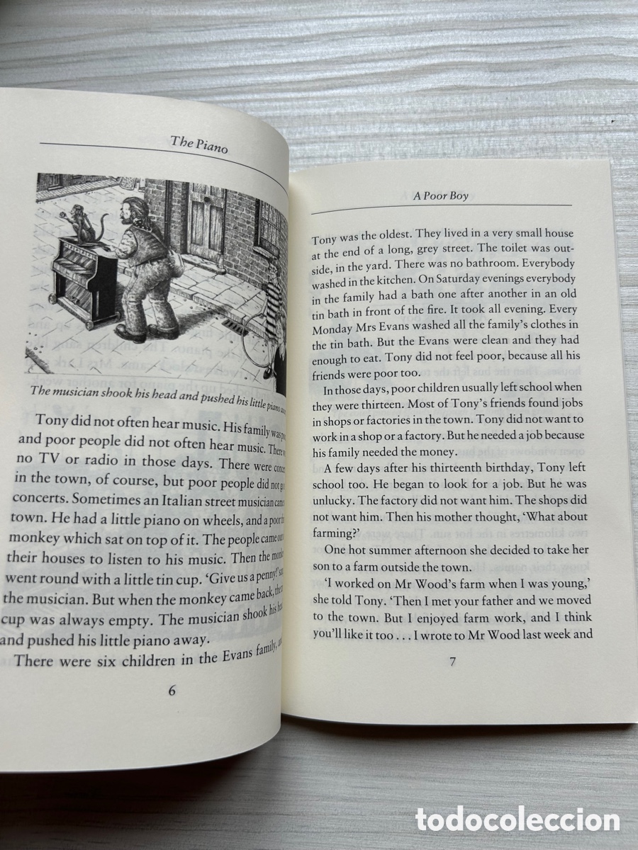 Libros: The Piano de Rosemary Border - Foto 2