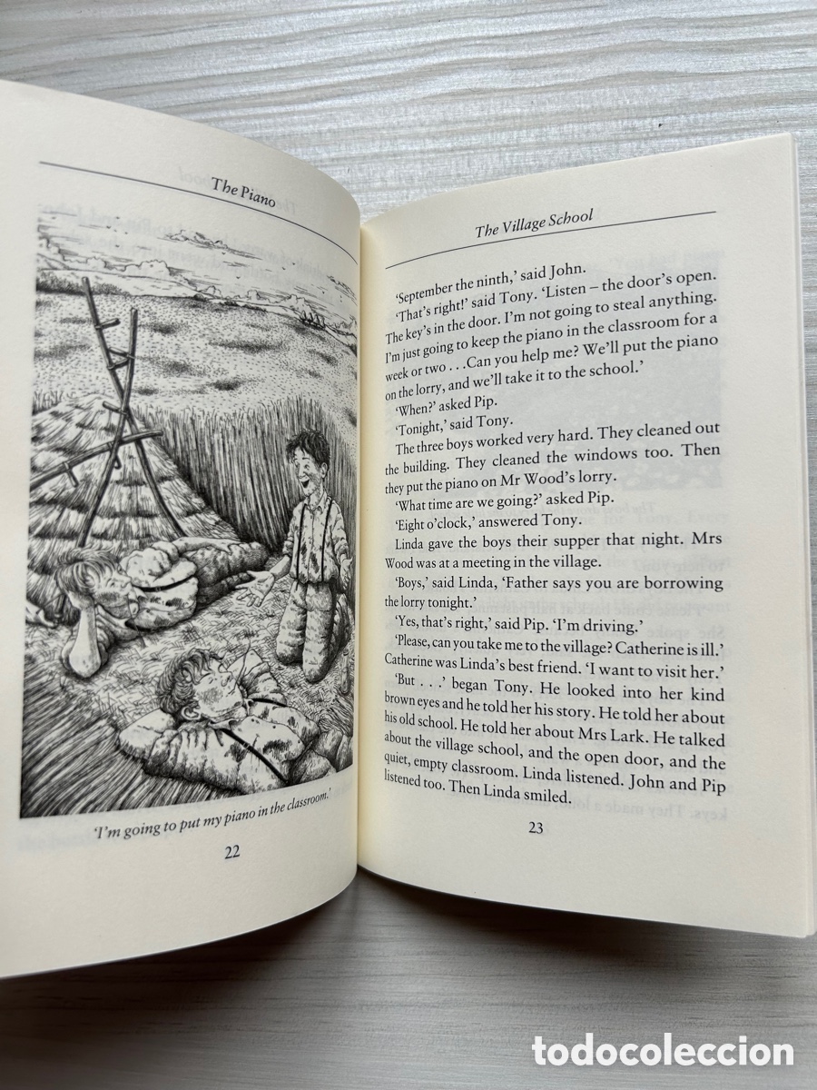 Libros: The Piano de Rosemary Border - Foto 3