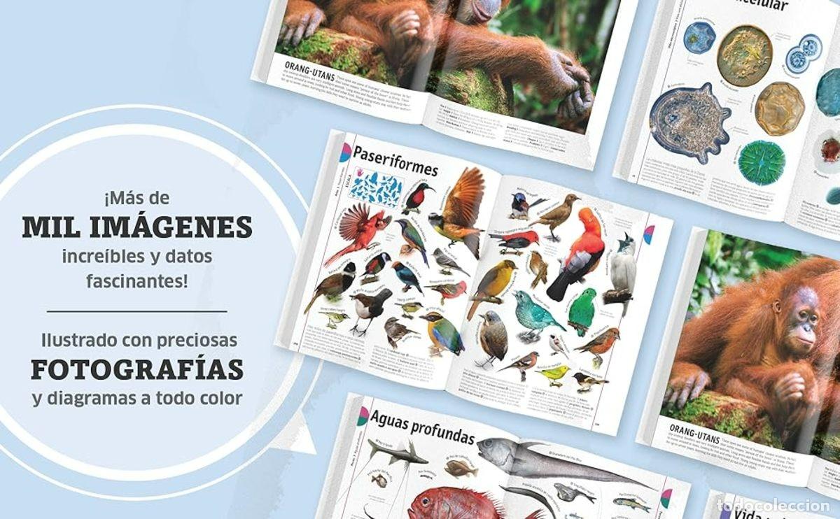 Libros: EL LIBRO DE LOS ANIMALES - Foto 2