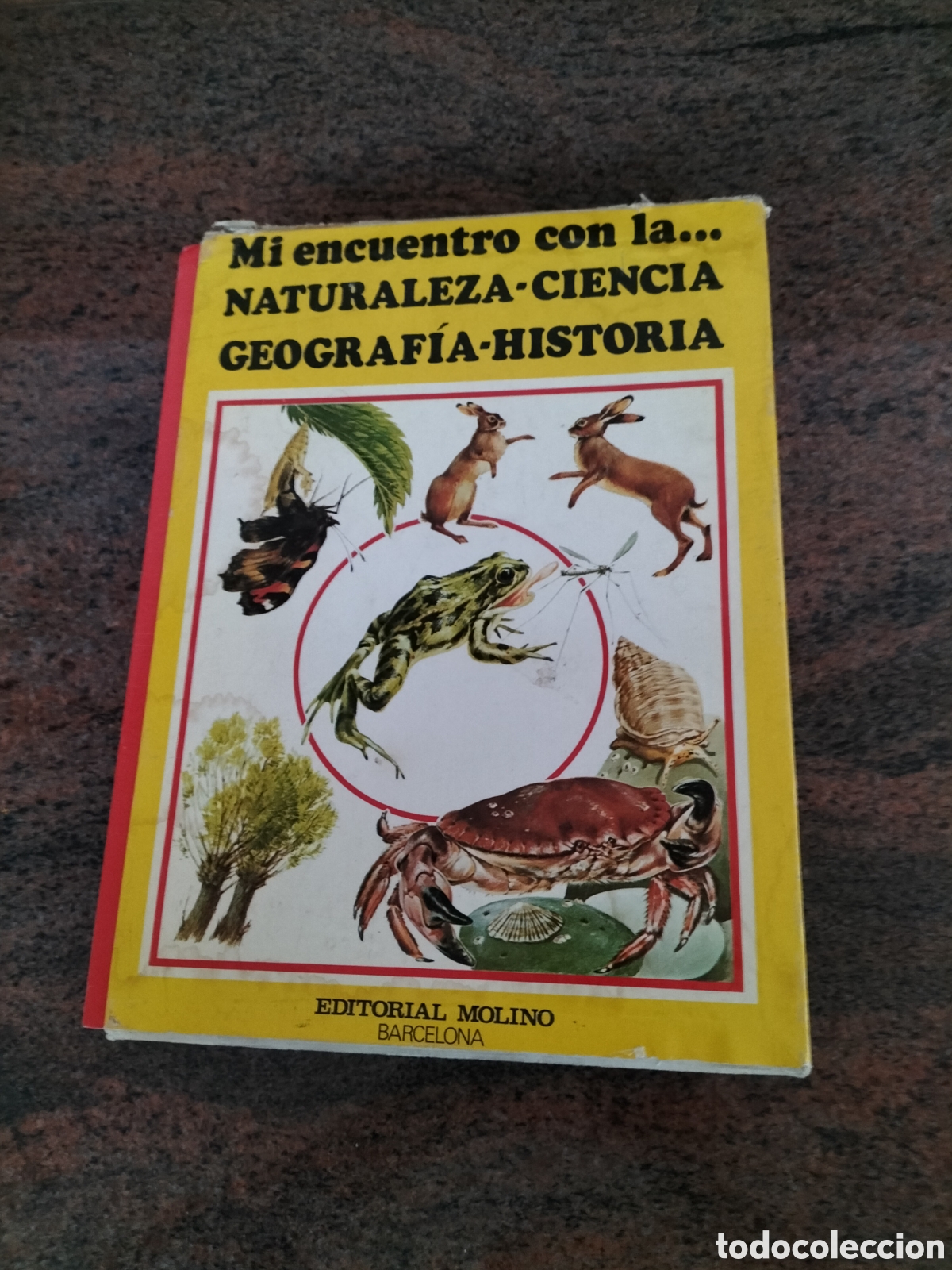 Libros: Libros de aprendizaje. Cuatro ilustrados. - Foto 3