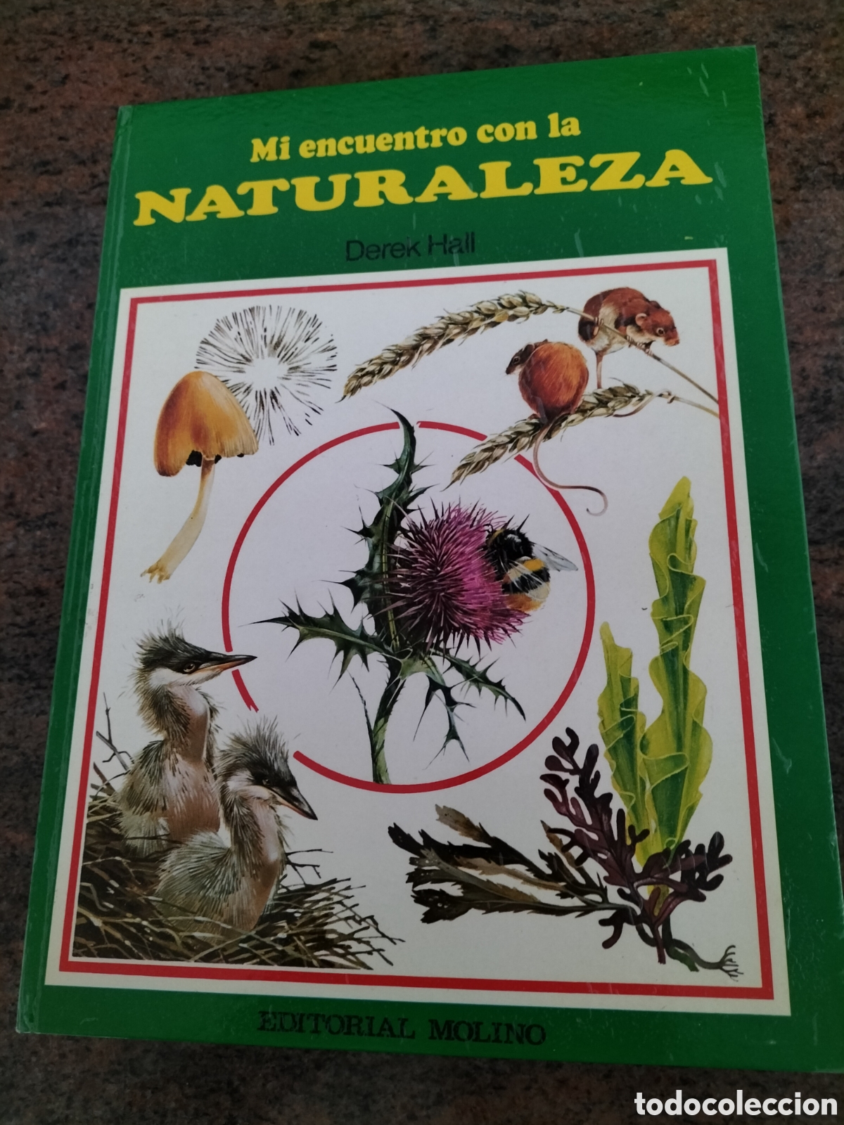 Libros: Libros de aprendizaje. Cuatro ilustrados. - Foto 5