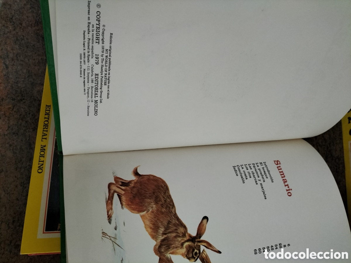 Libros: Libros de aprendizaje. Cuatro ilustrados. - Foto 7