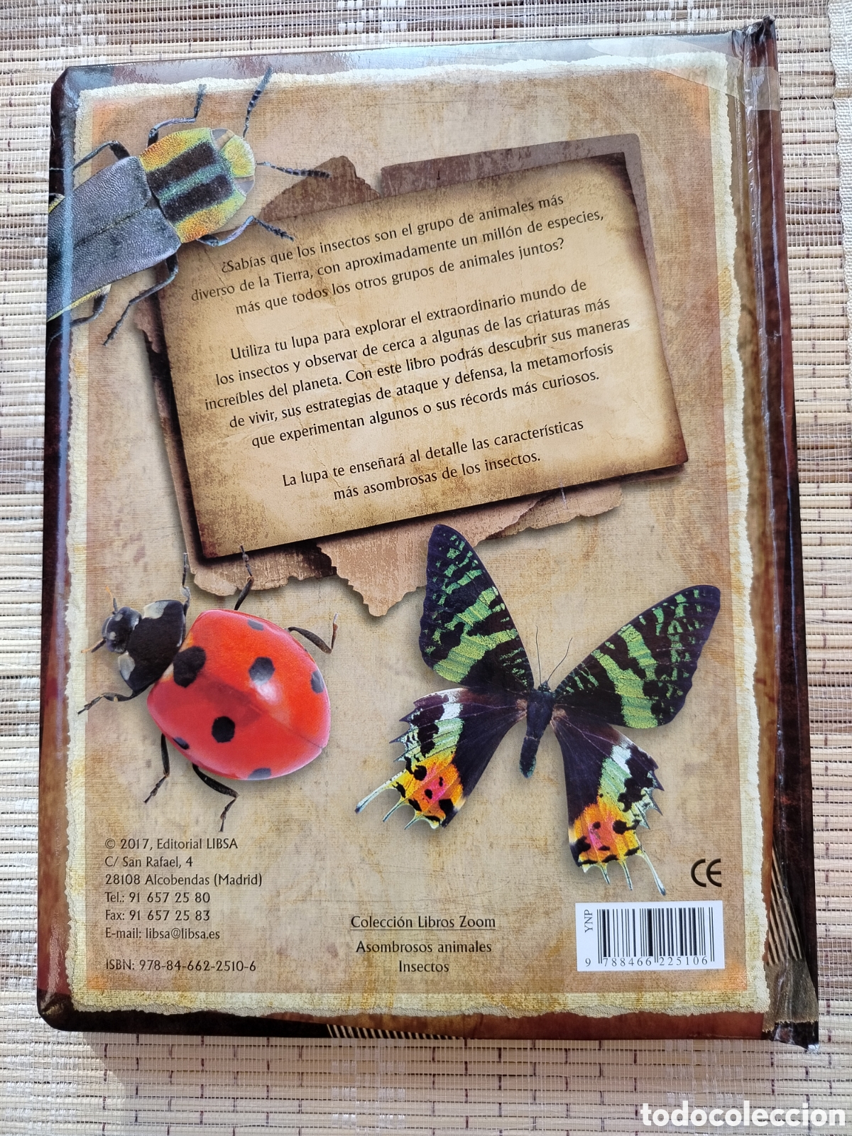 Libros: Insectos, Libros Zoom - Foto 2