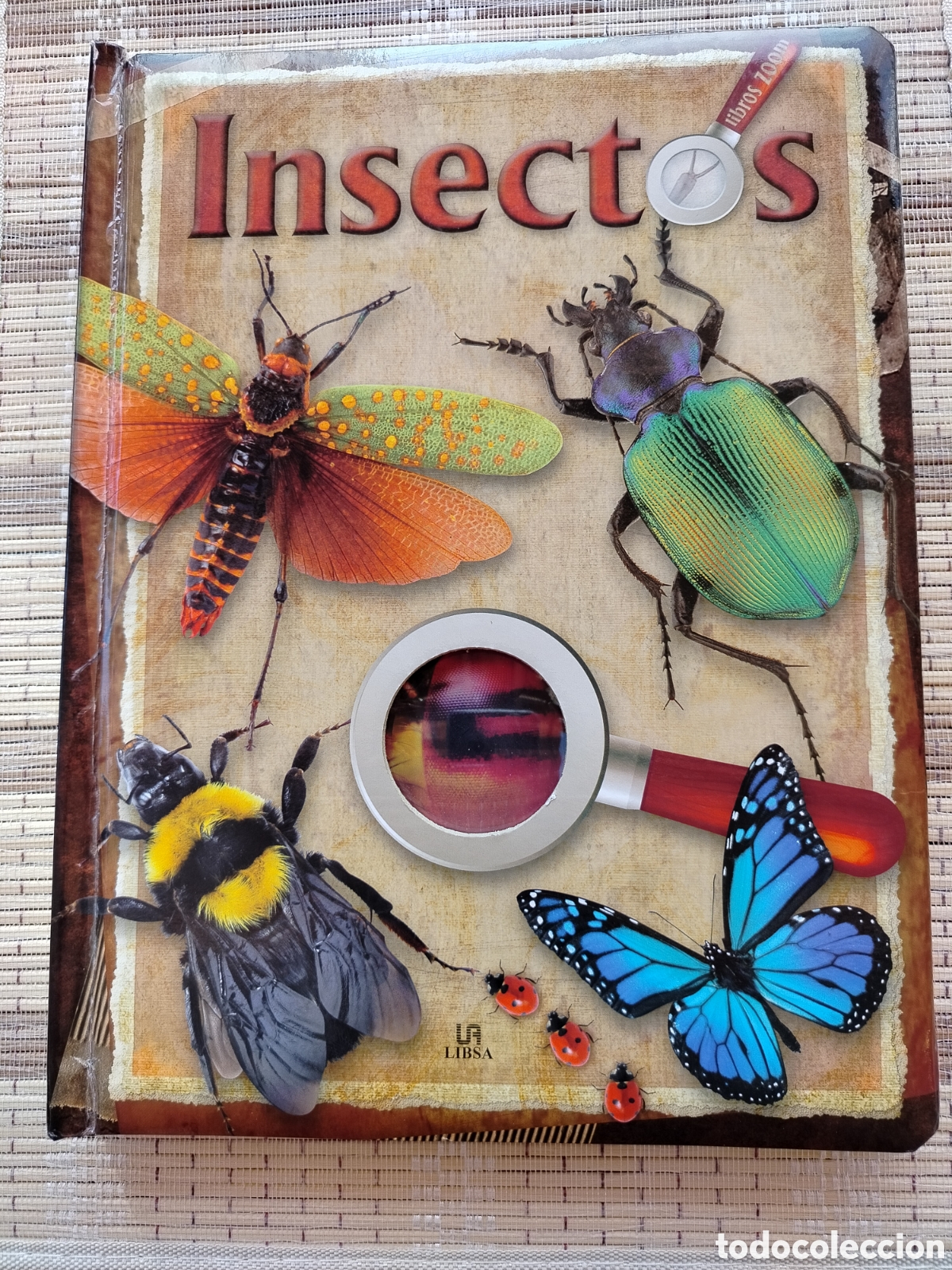 Libros: Insectos, Libros Zoom - Foto 1
