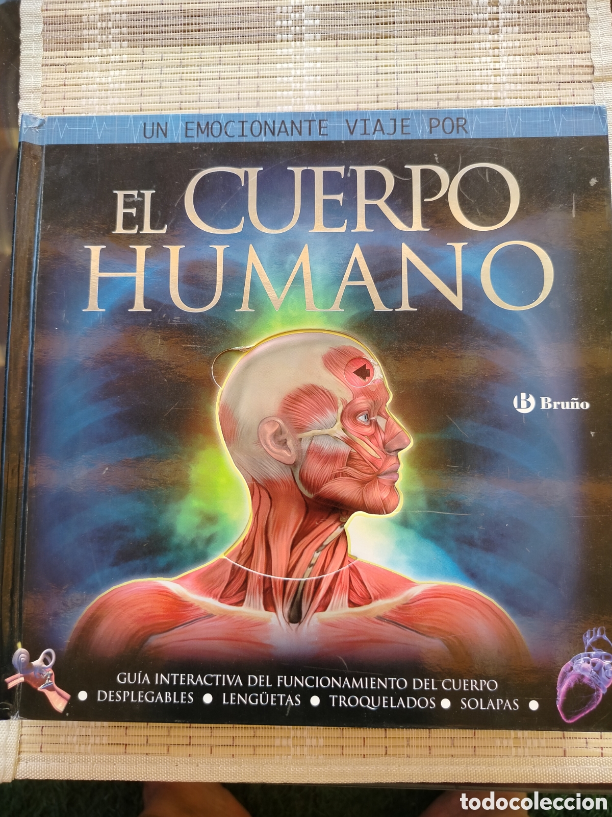 Libros: El Cuerpo Humano Bru&ntilde;o. - Foto 1
