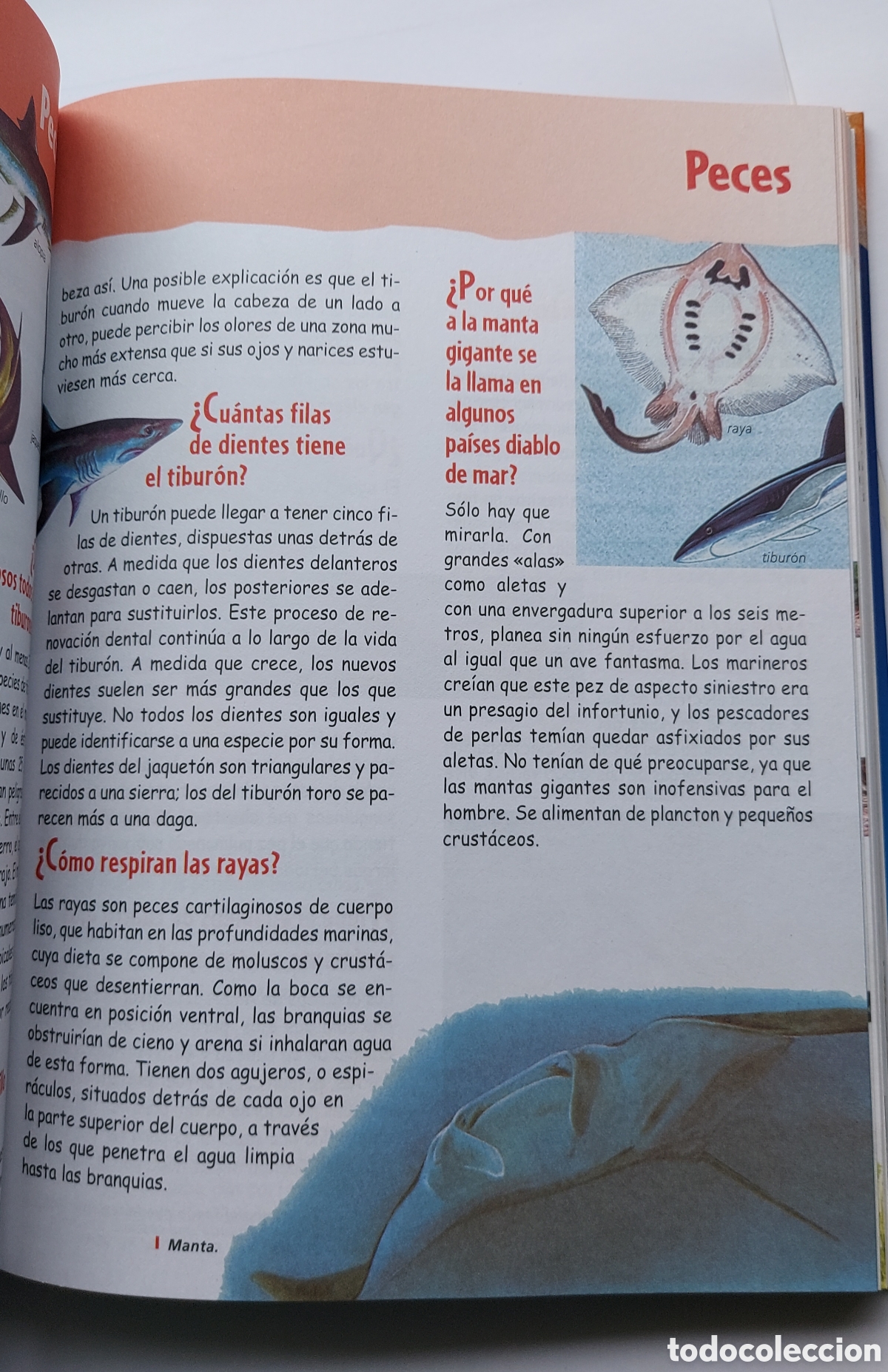 Libros: Libro infantil El Porqu&eacute; de las cosas - Foto 4
