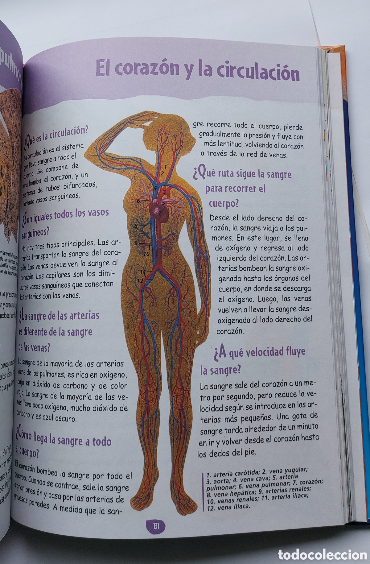 Libros: Libro infantil El Porqu&eacute; de las cosas - Foto 5