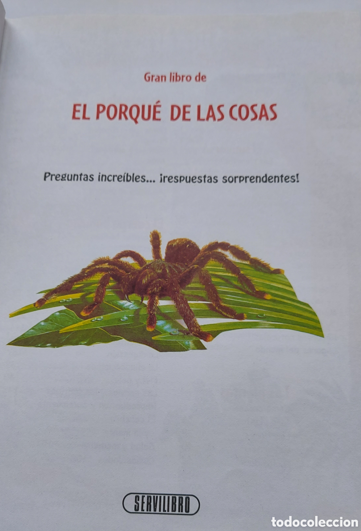 Libros: Libro infantil El Porqu&eacute; de las cosas - Foto 7