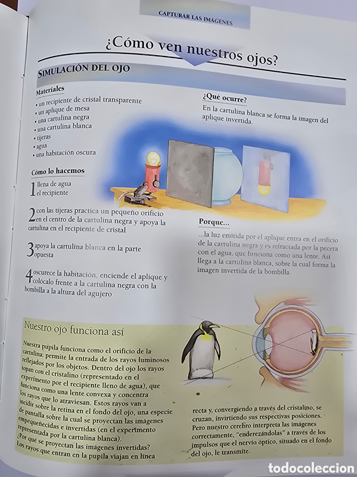 Libros: EL GRAN LIBRO DE LOS EXPERIMENTO - Foto 2