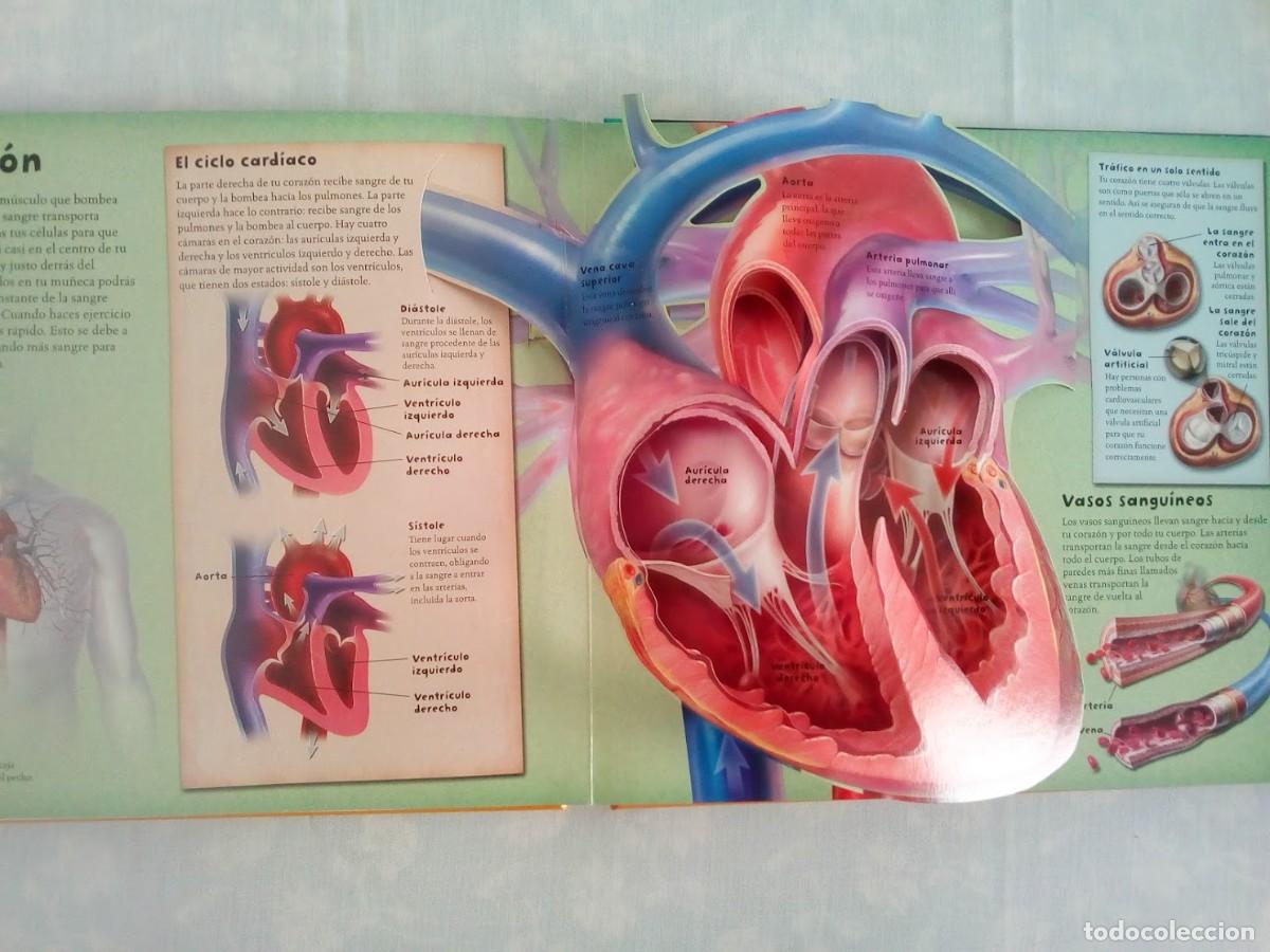 Libros: Libro 3D &rdquo;El Cuerpo humano&rdquo; - Foto 5
