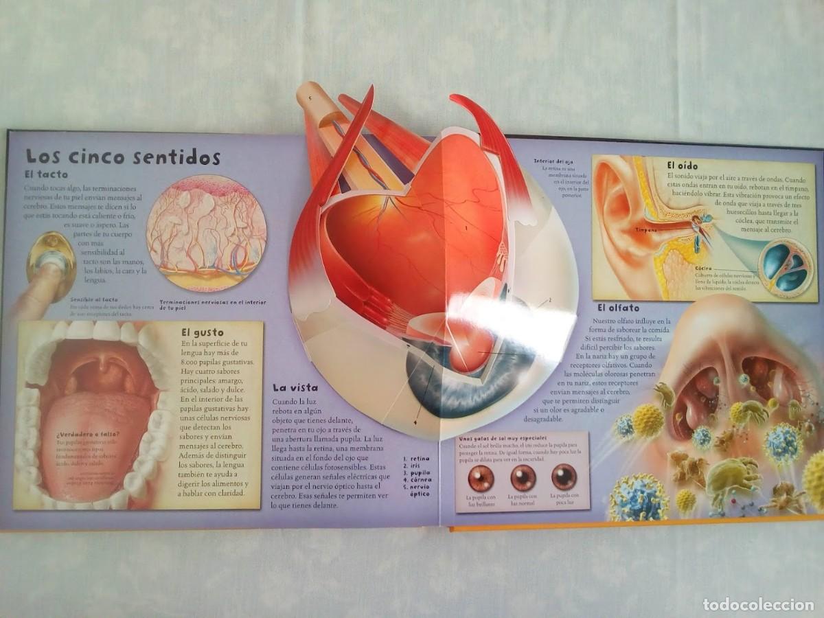 Libros: Libro 3D &rdquo;El Cuerpo humano&rdquo; - Foto 6