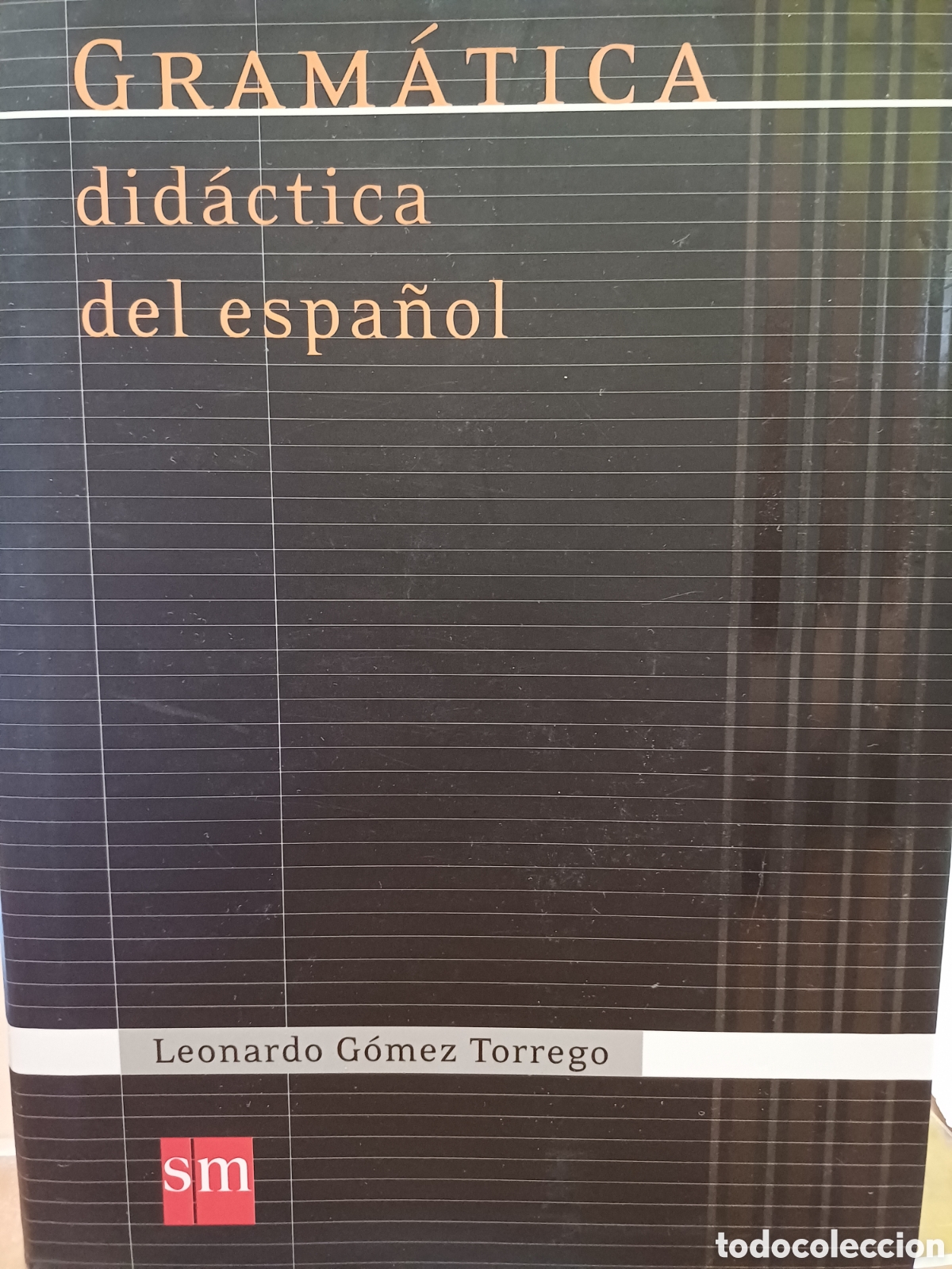 Libros: Gram&aacute;tica did&aacute;ctica del espa&ntilde;ol - Foto 1