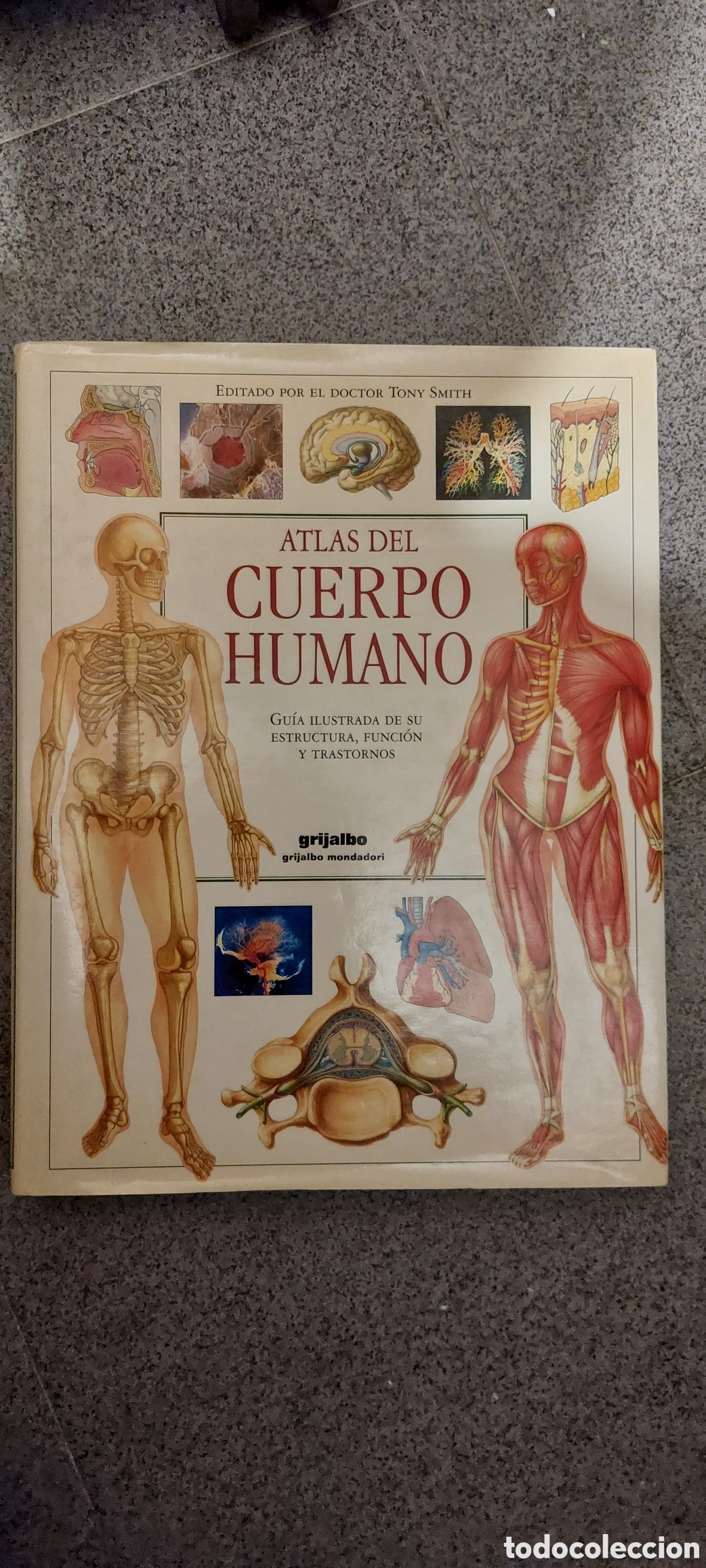 Libros: LIBRO EL CUERPO HUMANO - Foto 1
