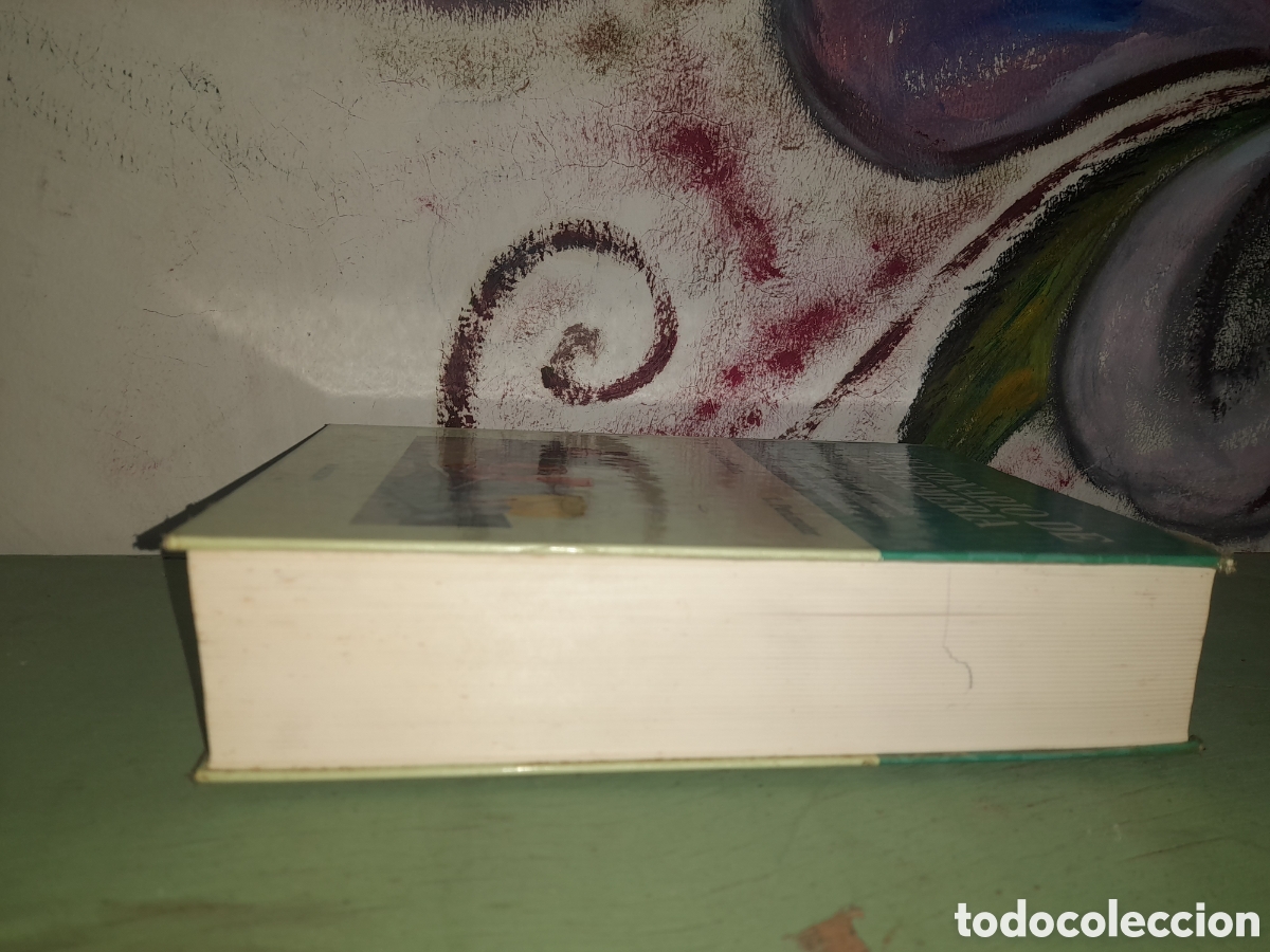 Libros: Diccionario de Enfermeria primera edici&oacute;n - Foto 4