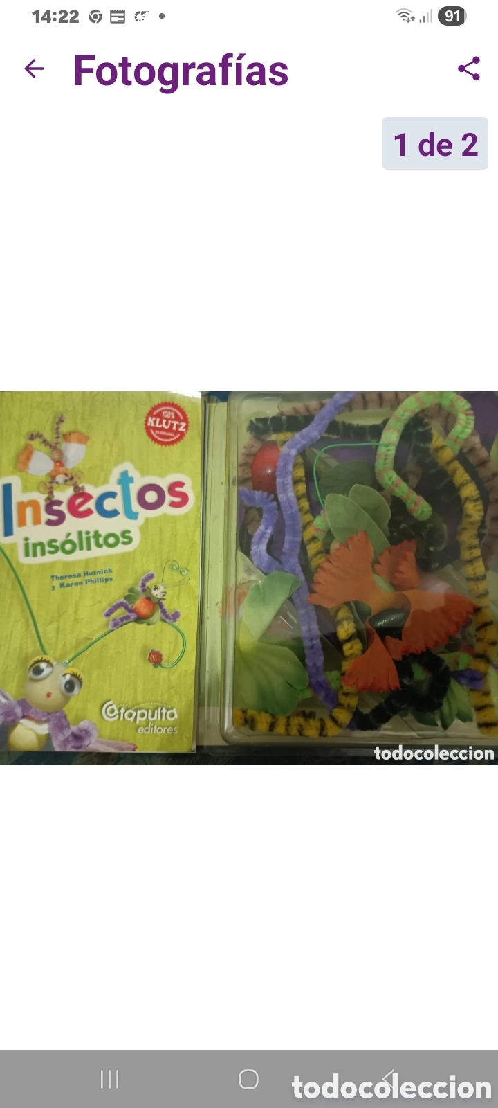 Libros: Libro insectos ins&oacute;litos+Kit manualidades - Foto 1