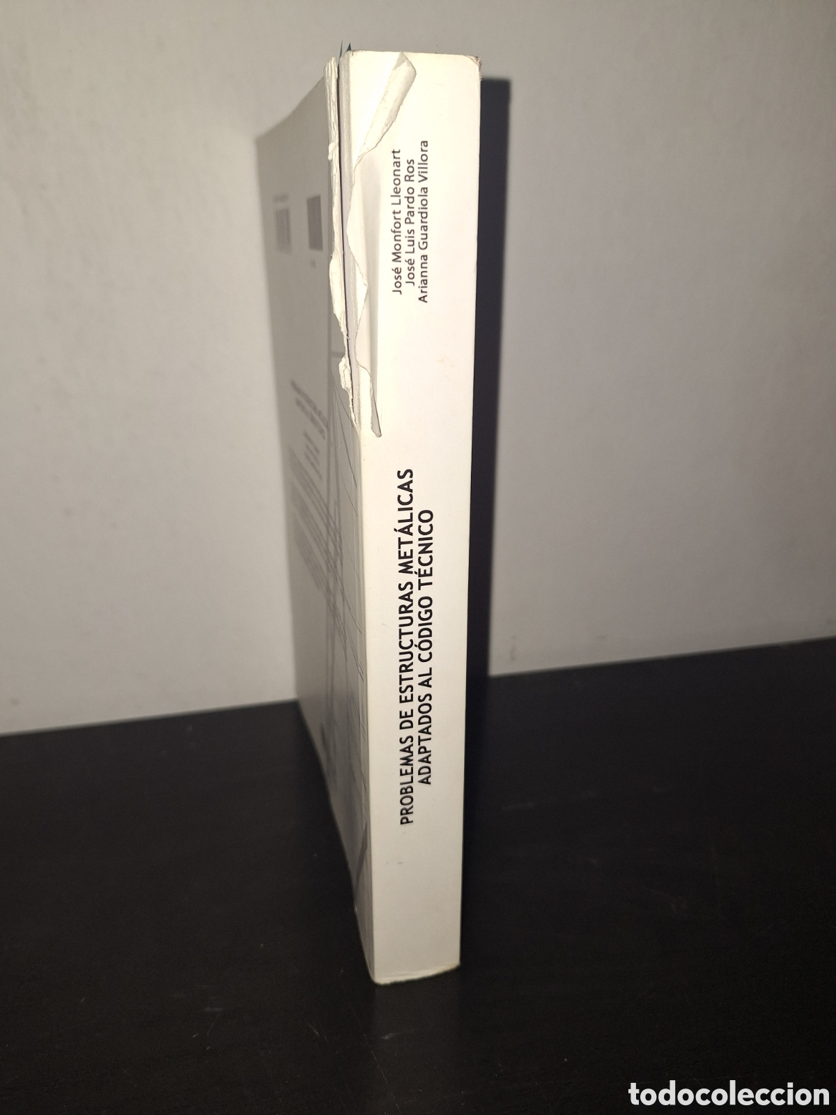 Libros: Problemas de estructuras met&aacute;licas ha adaptado al C&oacute;digo T&eacute;cnico - Foto 2