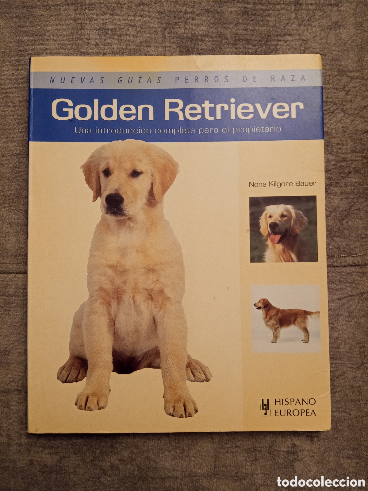 Libros: Libro Golden Retriever Lectura en espa&ntilde;ol