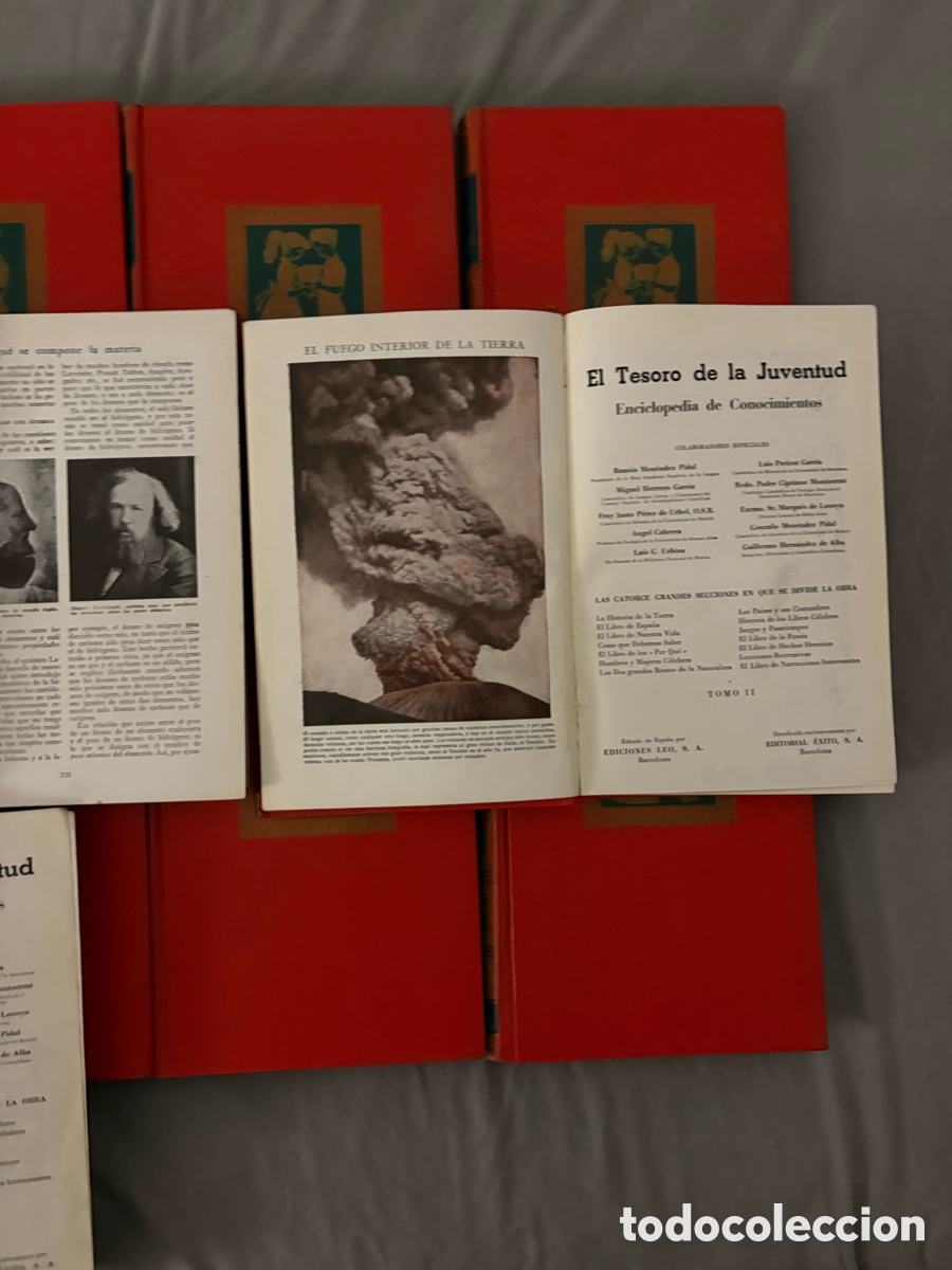 Libros: Lote 17 tomos El Tesoro de la Juventud 1958 - Foto 12