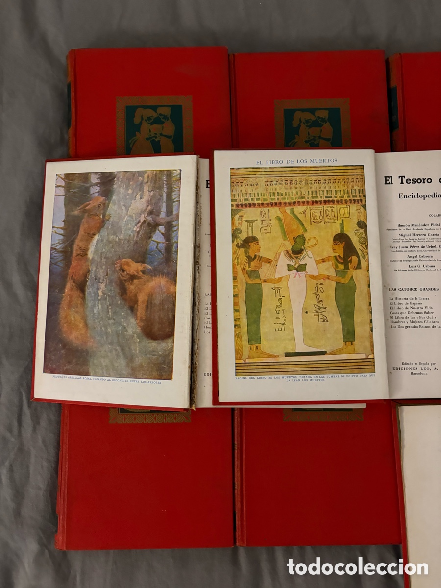 Libros: Lote 17 tomos El Tesoro de la Juventud 1958 - Foto 14