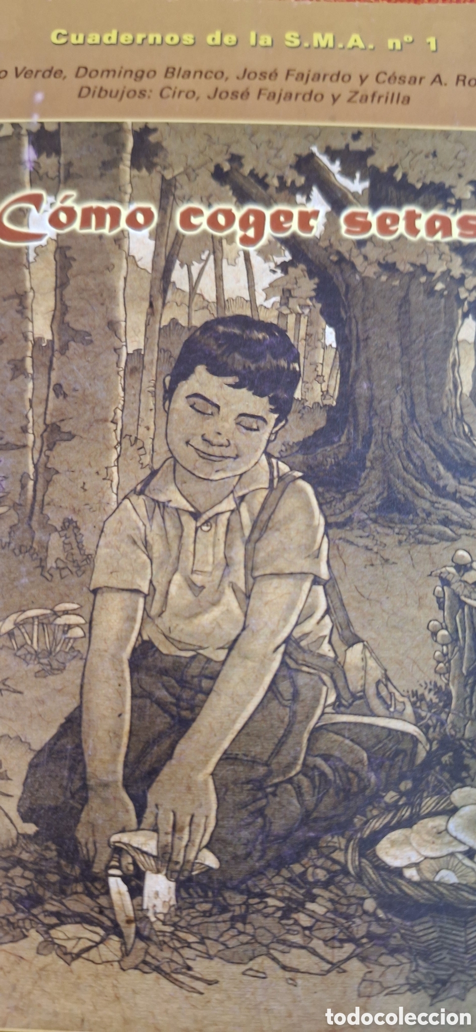 Libros: Cuadernillos micol&oacute;gia