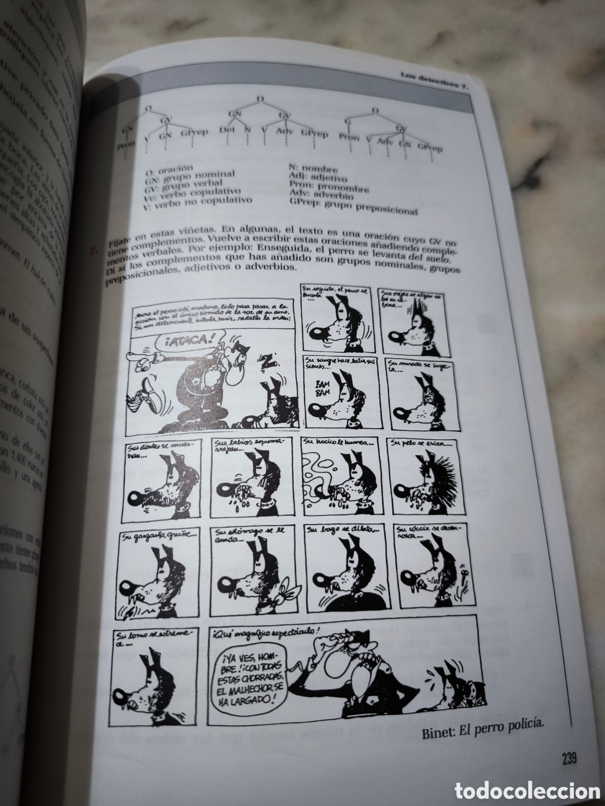 Libros: Lengua 6 curso de EGB - Foto 6