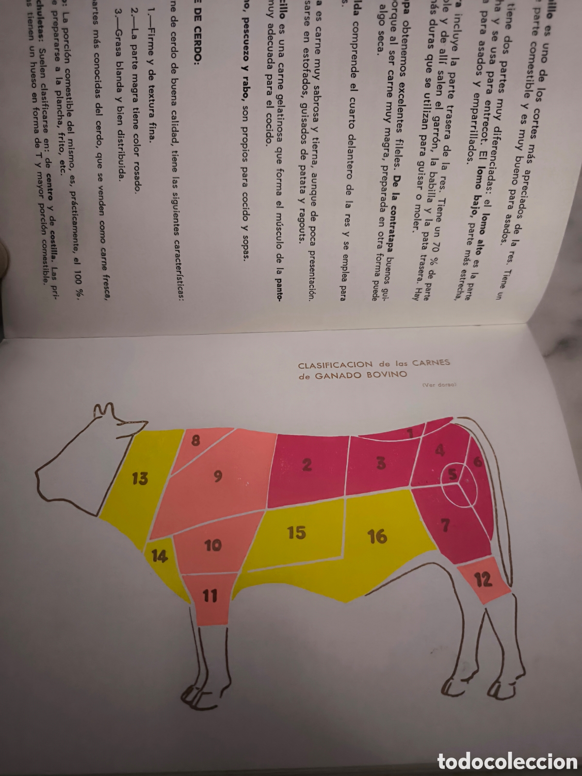 Libros: Educaci&oacute;n en alimentaci&oacute;n y nutrici&oacute;n - Foto 5