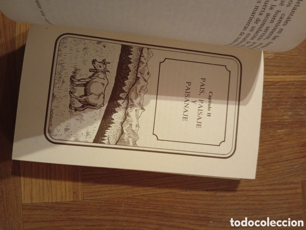Libros: Libro Comer en Cantabria - Foto 7