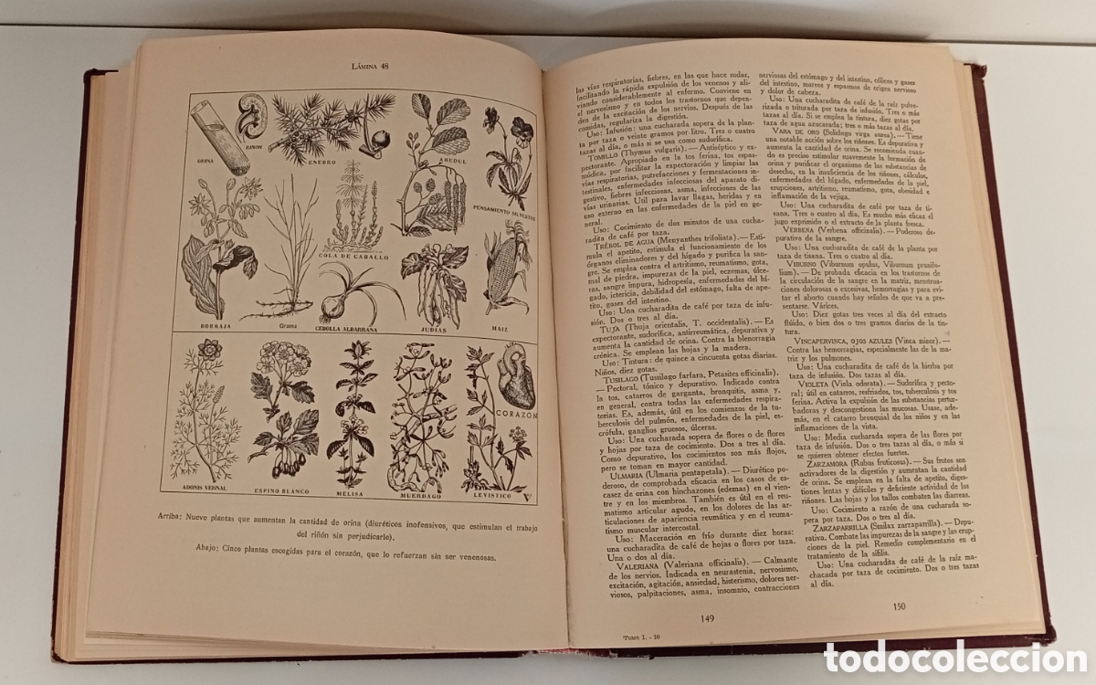 Libros: .MEDICINA NATURAL DR. VANDER - Foto 5