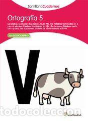 Libros: Ortograf&iacute;a, Cuaderno 5 - Santillana