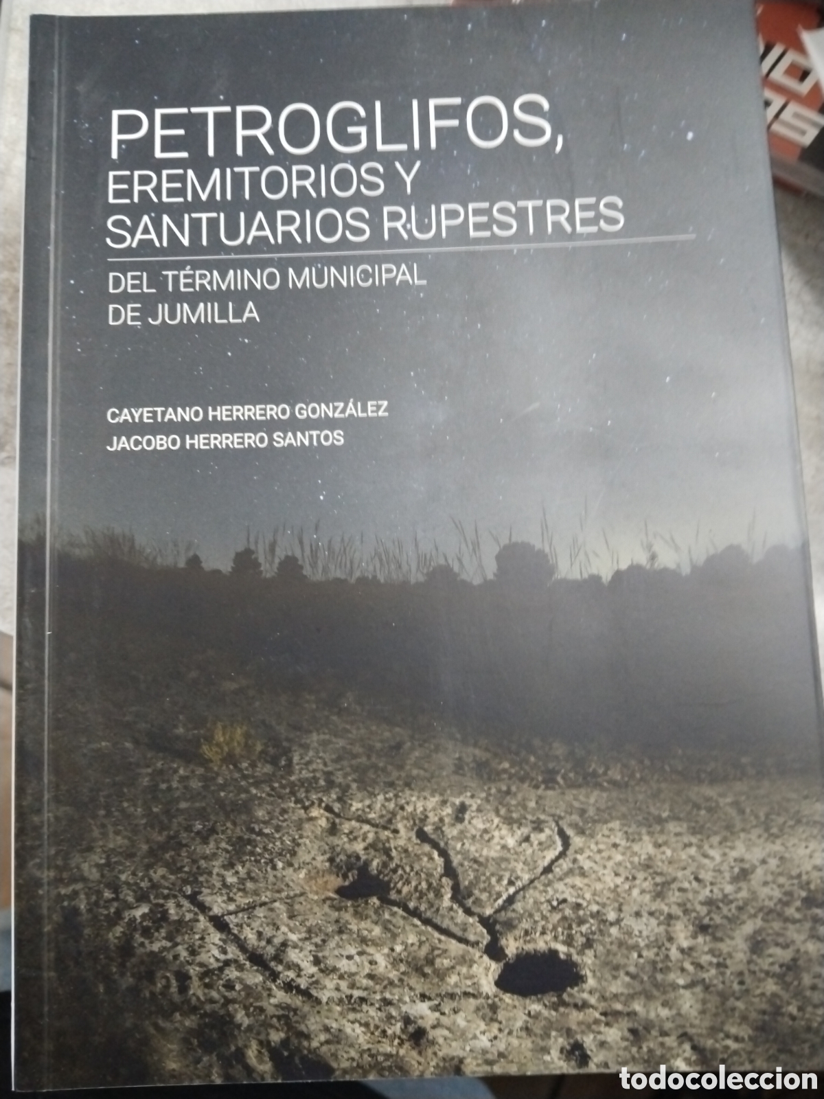 Libros: Petroglifos eremitorios y santuarios rupestres del t&eacute;rmino municipal de Jumilla