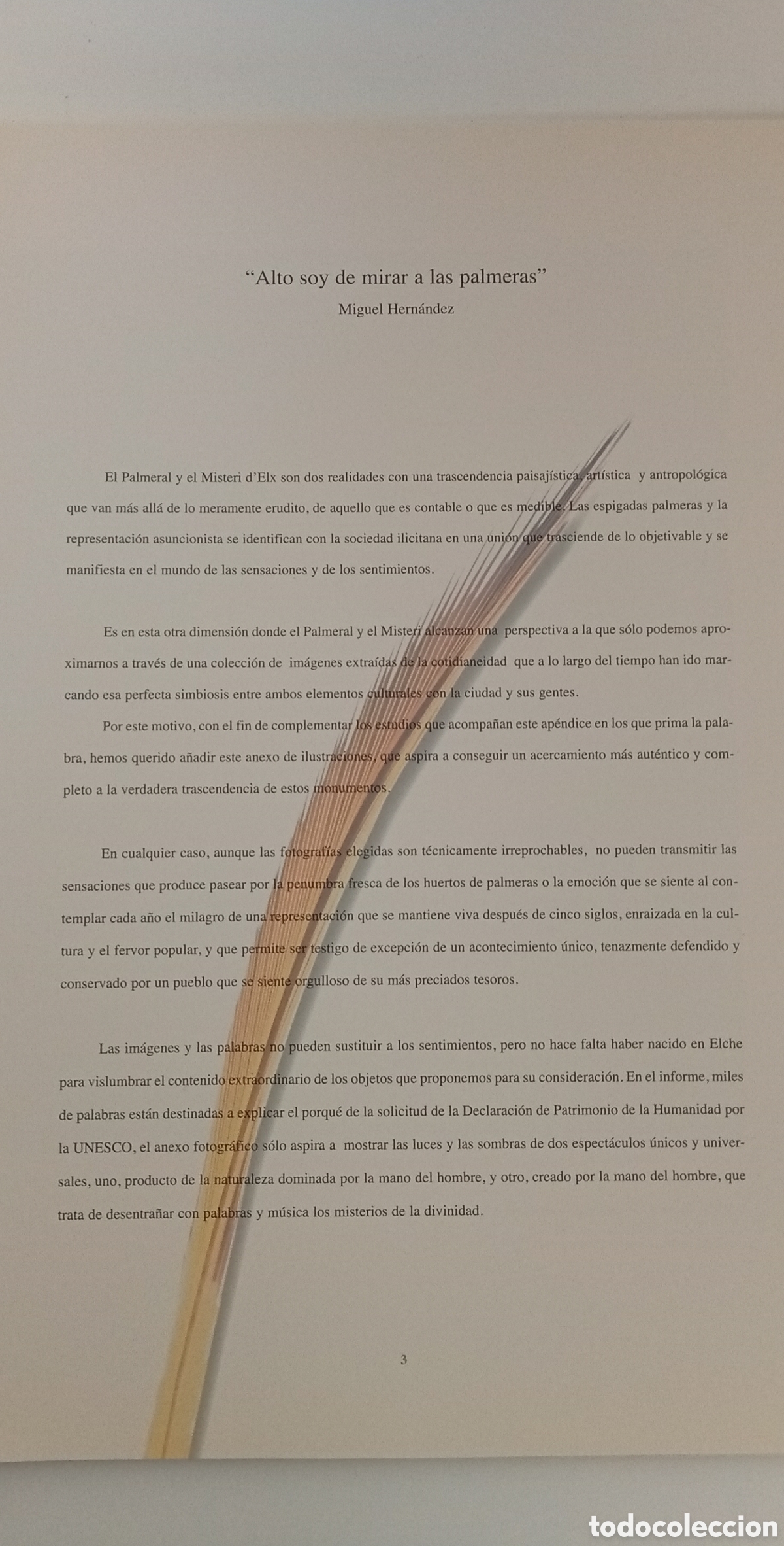 Libros: .LIBRO EL PALMERAL Y EL MISTERIO DE ELCHE - Foto 3