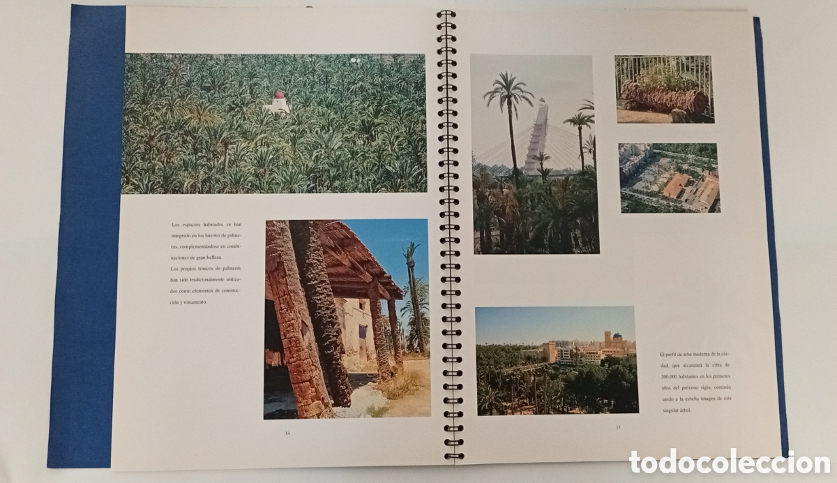 Libros: .LIBRO EL PALMERAL Y EL MISTERIO DE ELCHE - Foto 4