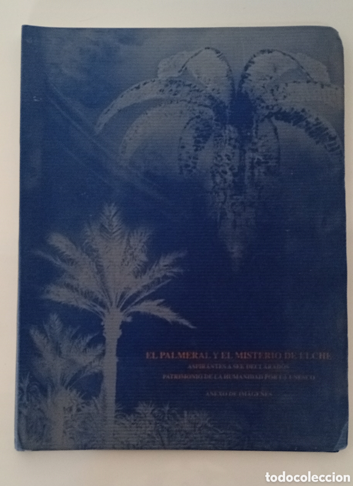 Libros: .LIBRO EL PALMERAL Y EL MISTERIO DE ELCHE - Foto 1
