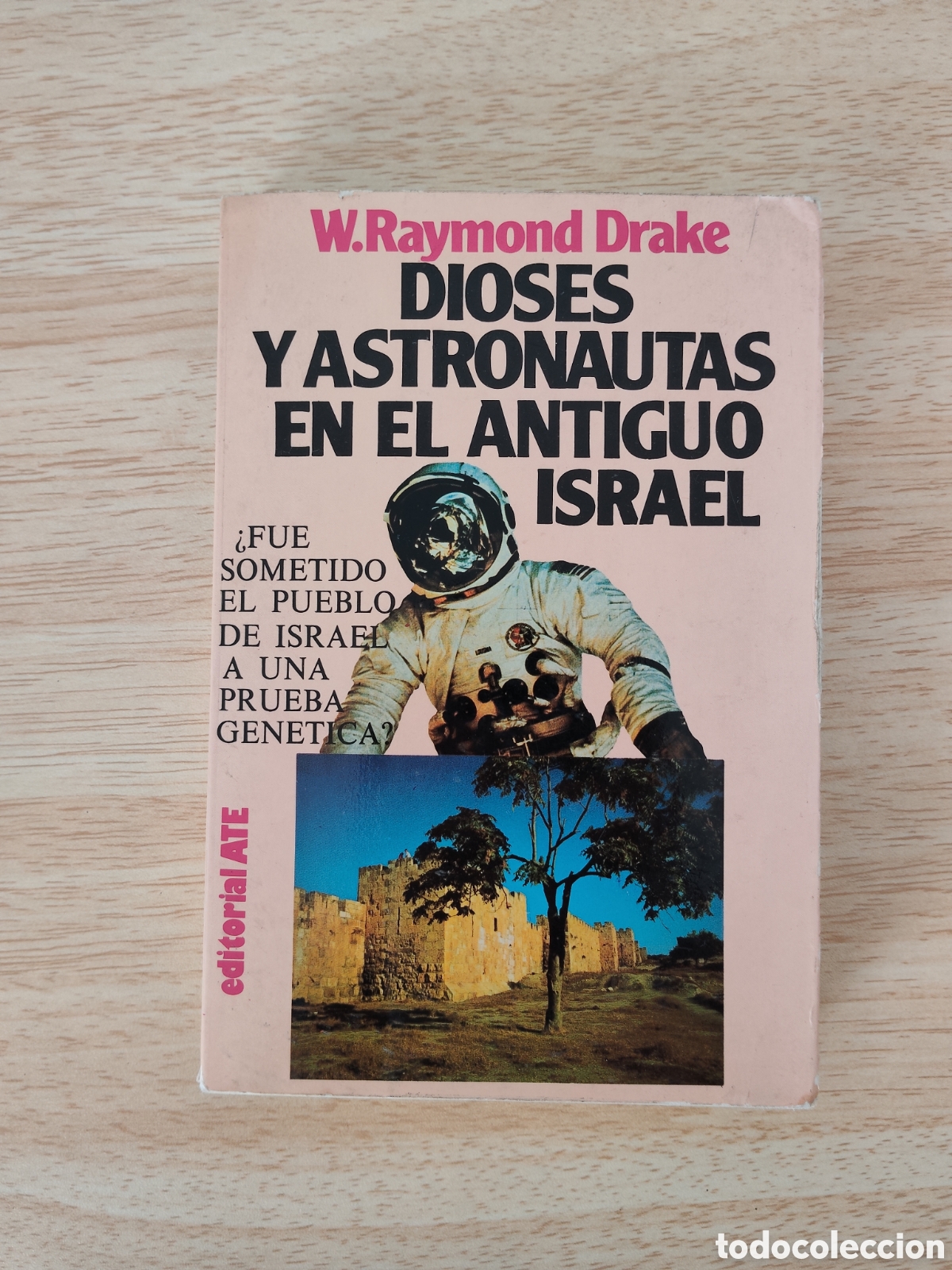 Libros: Libro Dioses y Astronautas Antiguo Israel ATE 1981