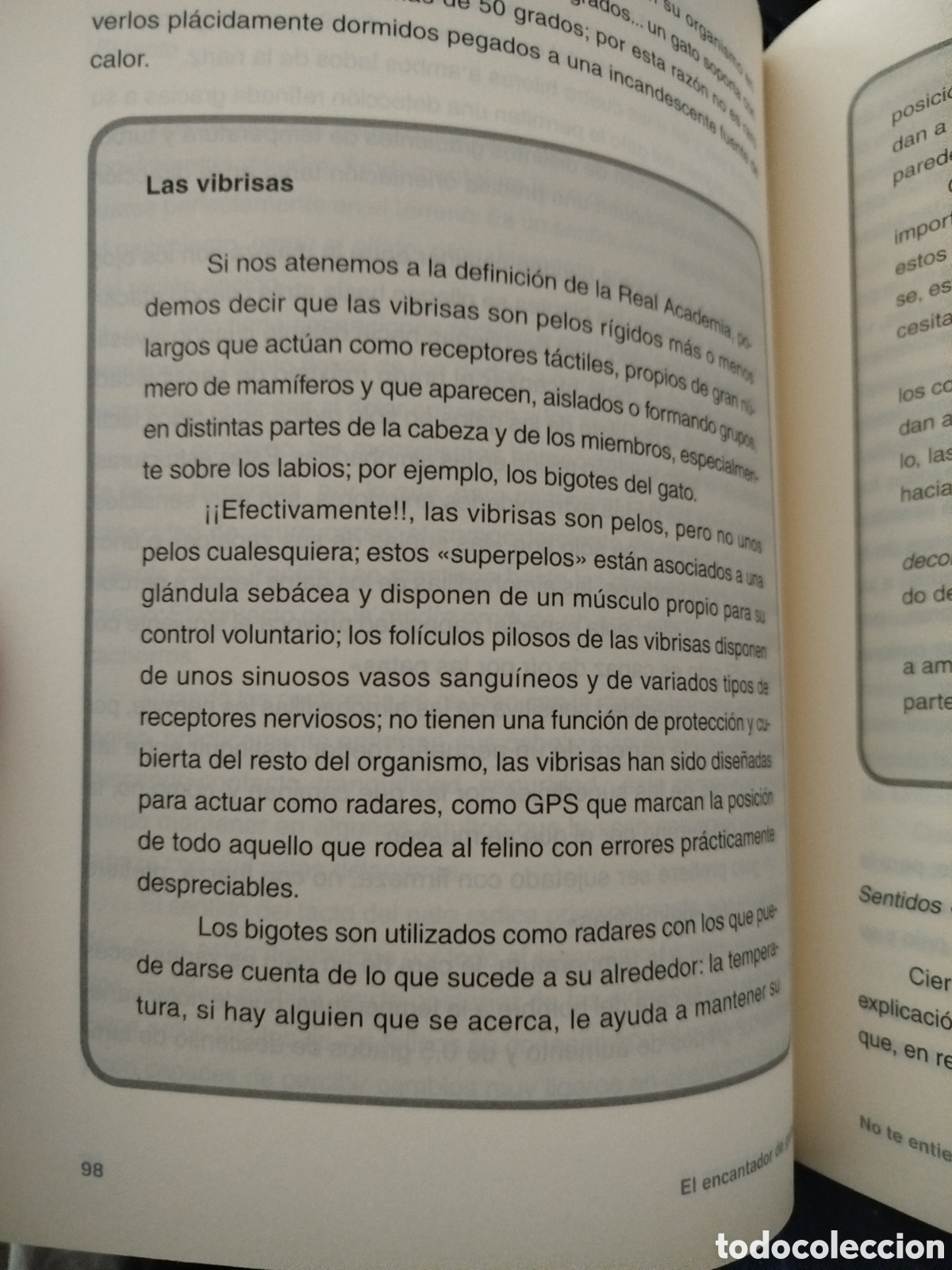 Libros: El encantador de gatos - Foto 2