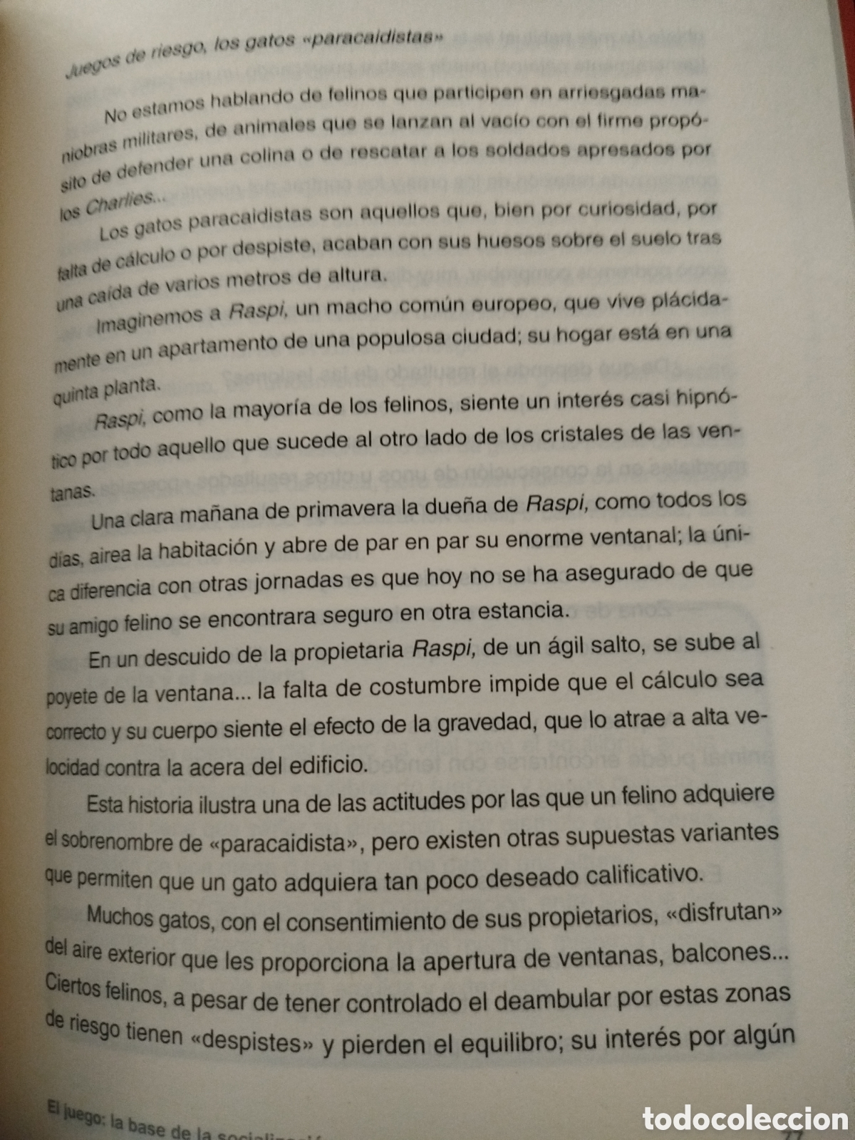 Libros: El encantador de gatos - Foto 3