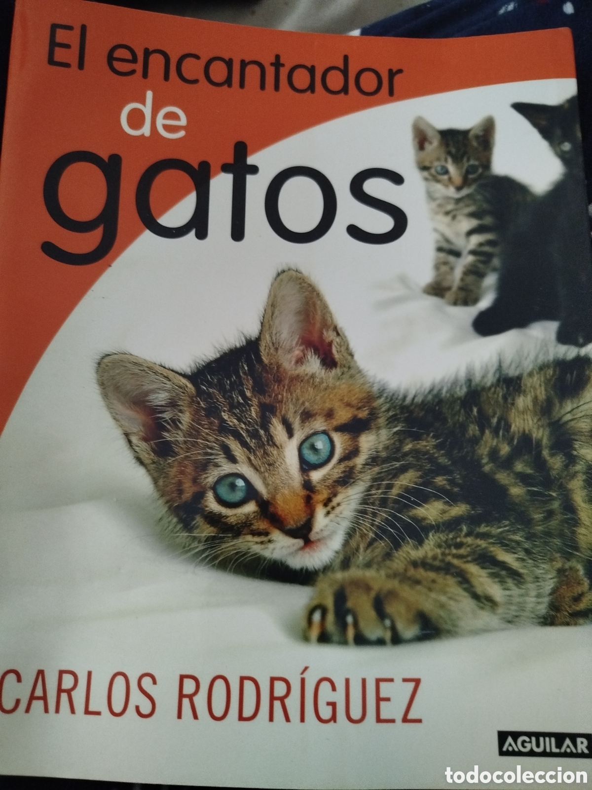 Libros: El encantador de gatos