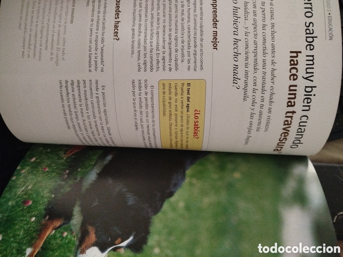 Libros: 100 ideas falsas sobre el perro - Foto 2