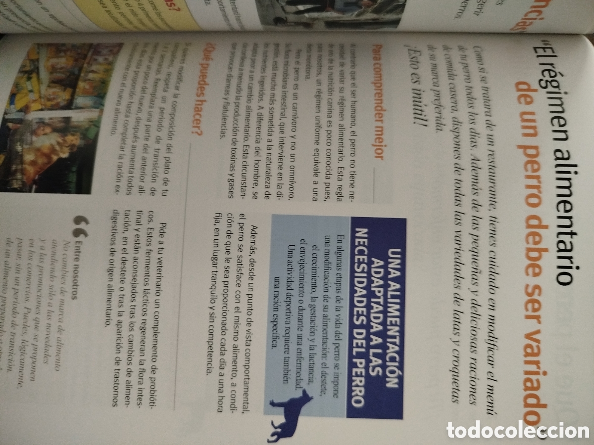 Libros: 100 ideas falsas sobre el perro - Foto 3
