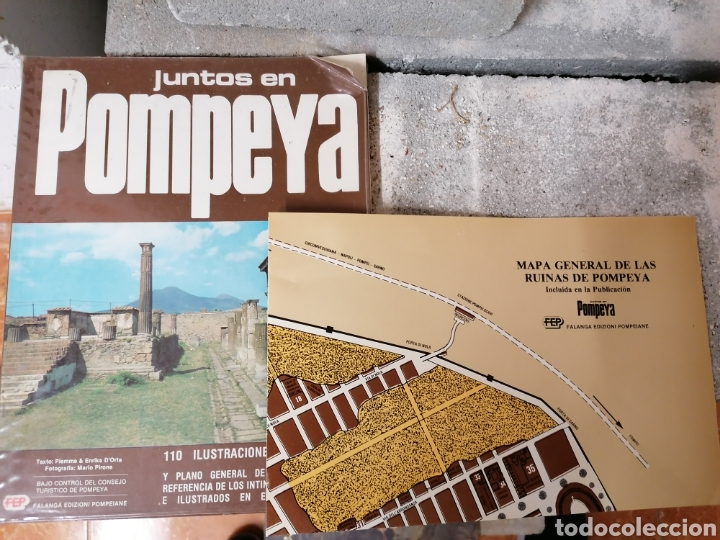 LIBRO JUNTOS EN POMPEYA (Libros Nuevos - Historia - Arqueología)