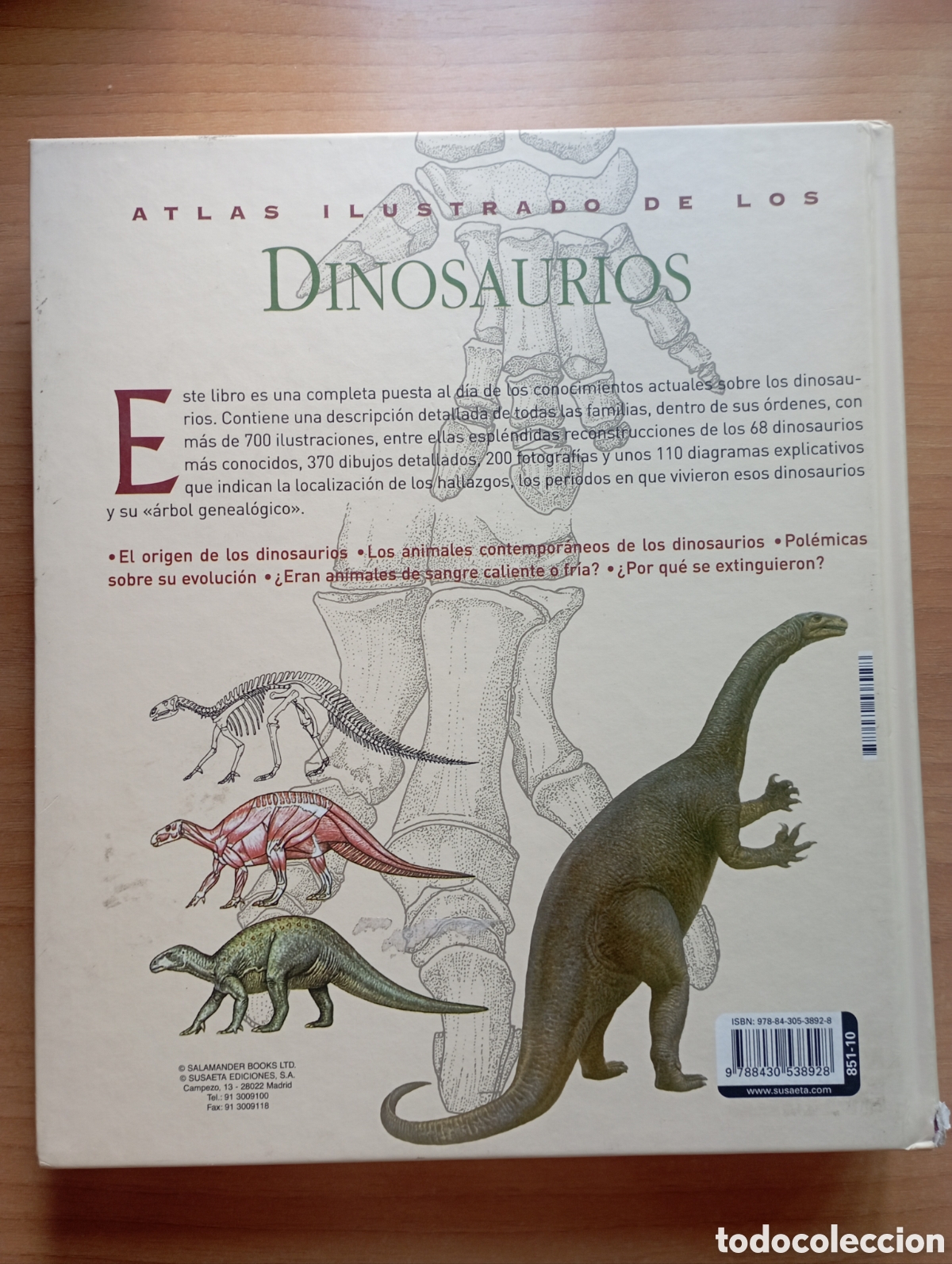 Libros: Los Dinosaurios, editorial Susaeta - Foto 2