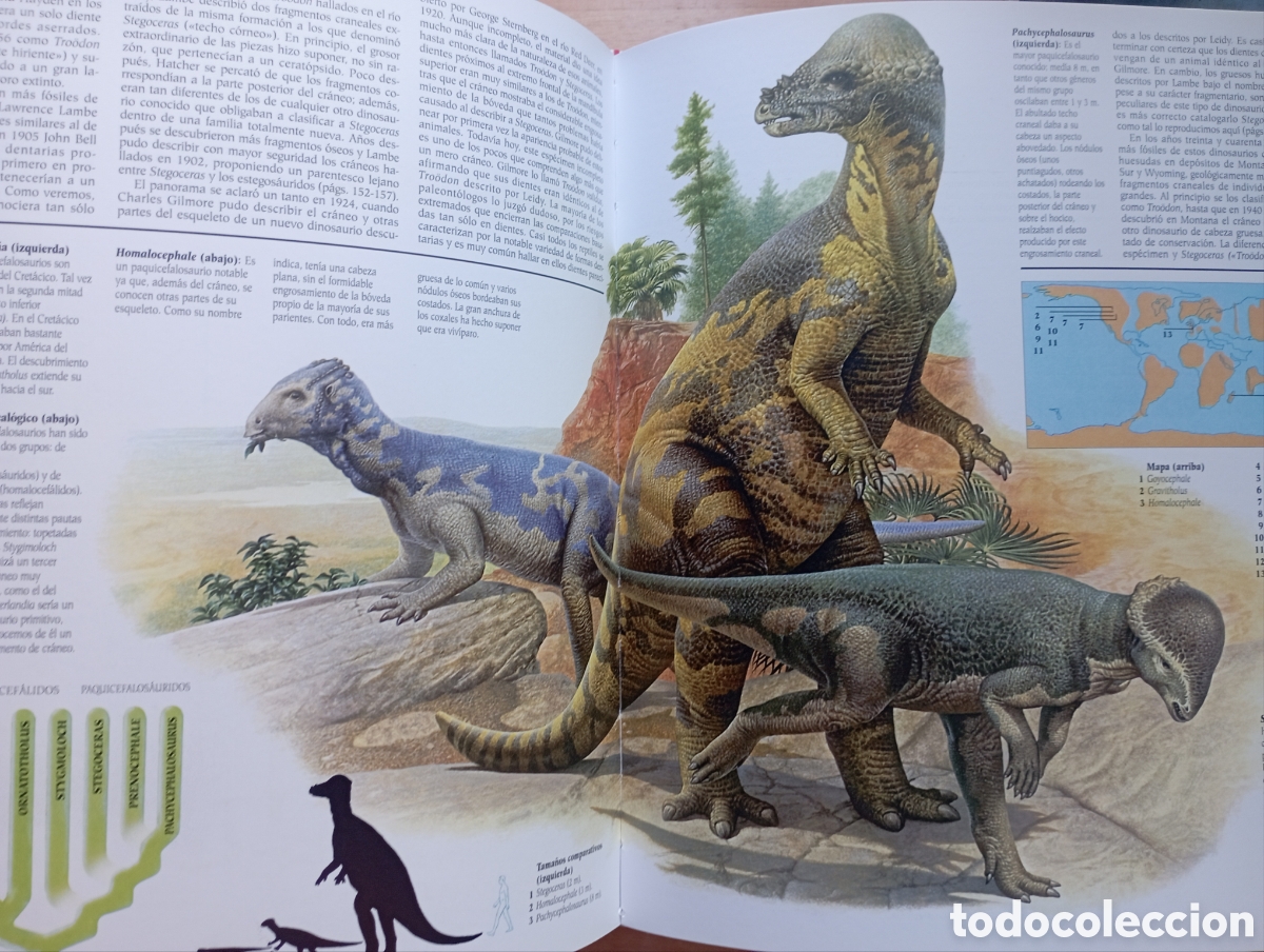Libros: Los Dinosaurios, editorial Susaeta - Foto 3