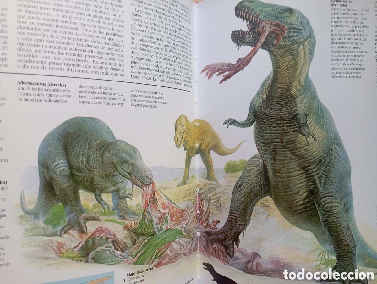 Libros: Los Dinosaurios, editorial Susaeta - Foto 5