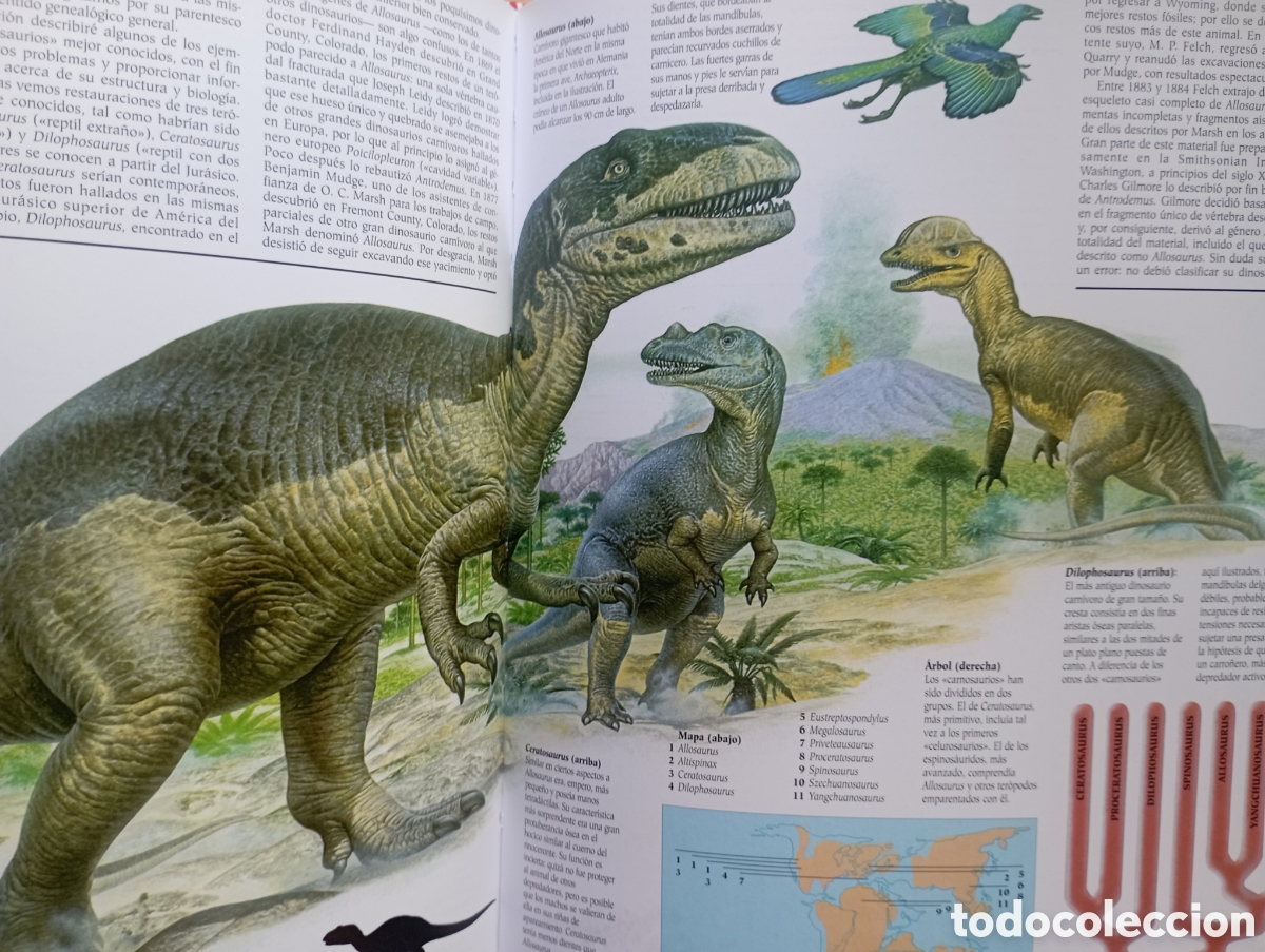 Libros: Los Dinosaurios, editorial Susaeta - Foto 6