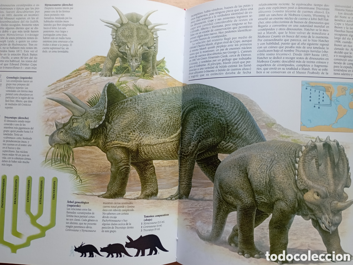 Libros: Los Dinosaurios, editorial Susaeta - Foto 7