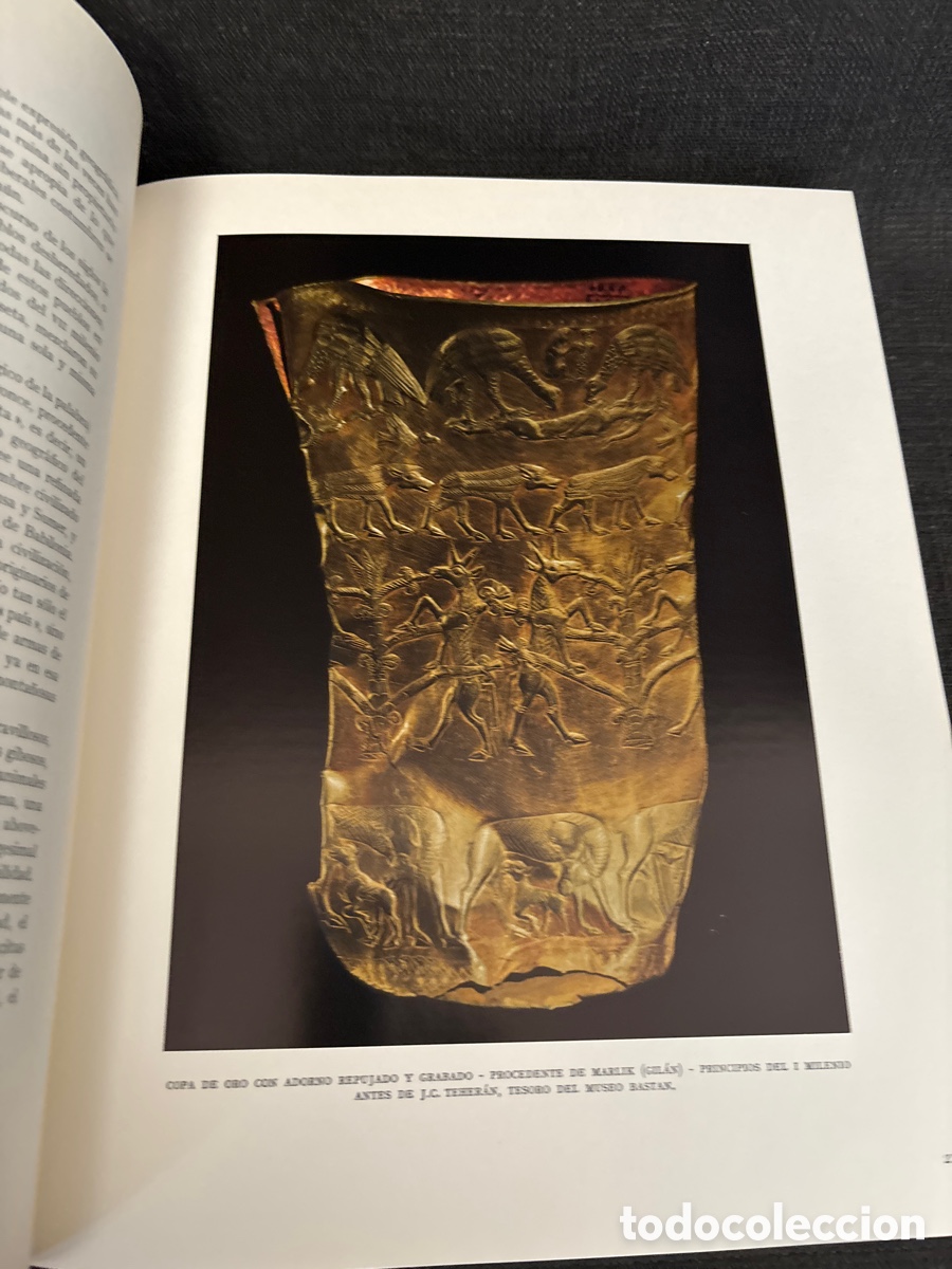 Libros: Libro los tesoros de Persia - Foto 4