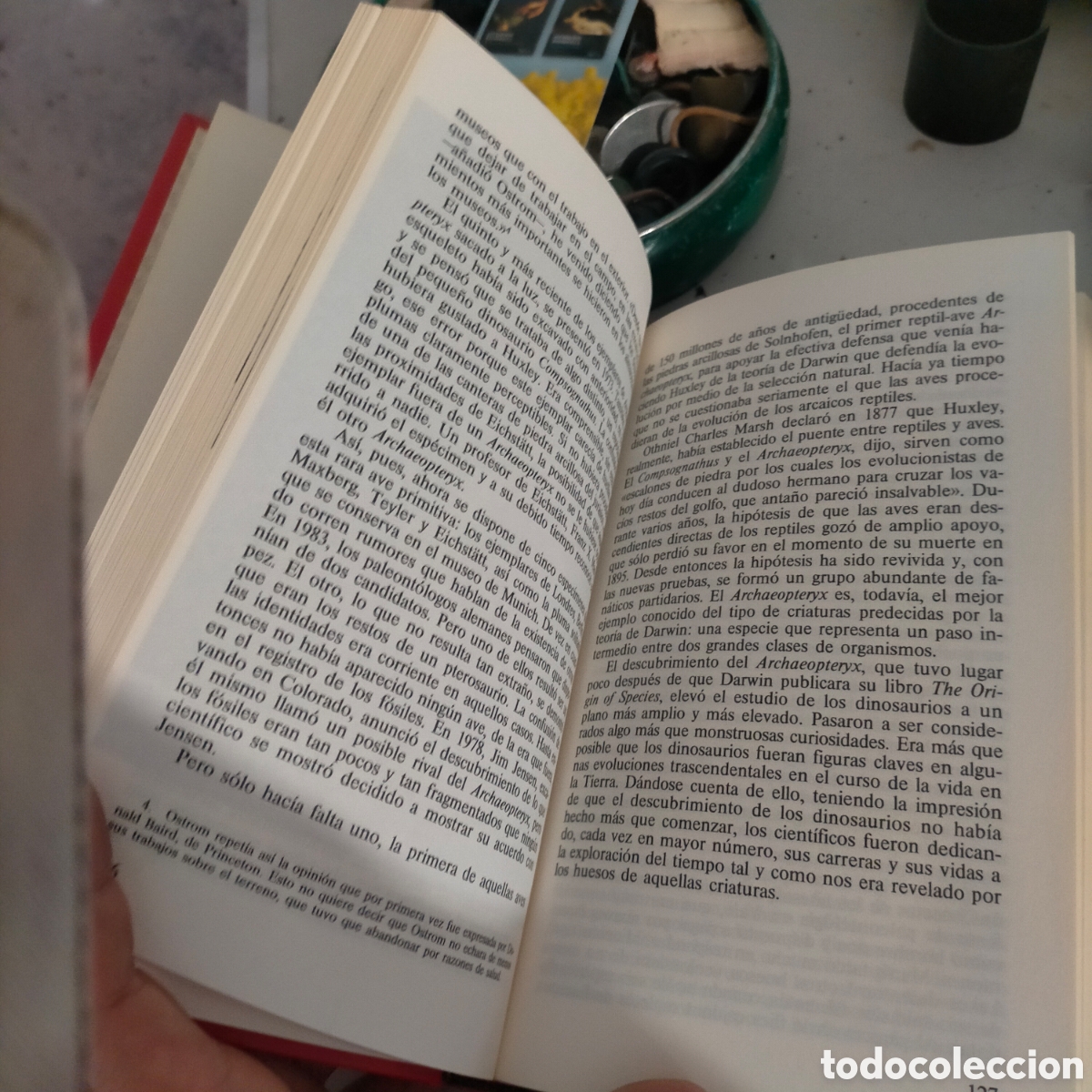 Libros: El enigma de los dinosaurios - Foto 2