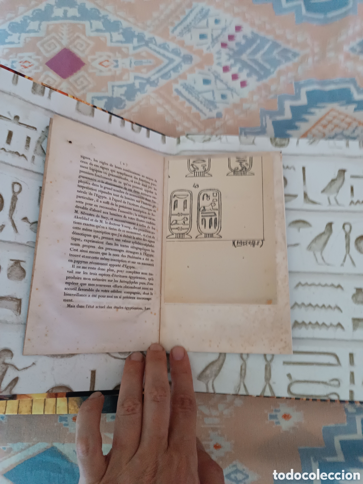 Libros: Espectacular libro LOS TESOROS DE TUTANKHAMON - Foto 3