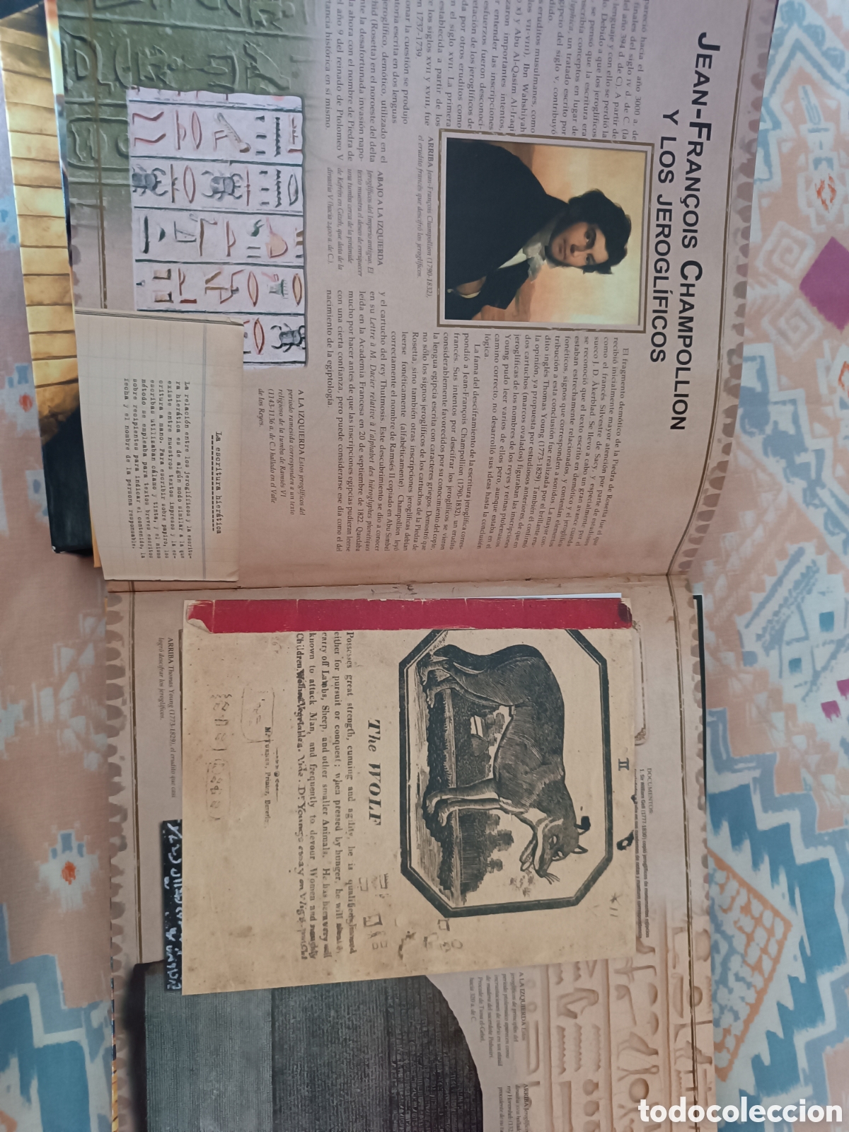 Libros: Espectacular libro LOS TESOROS DE TUTANKHAMON - Foto 4