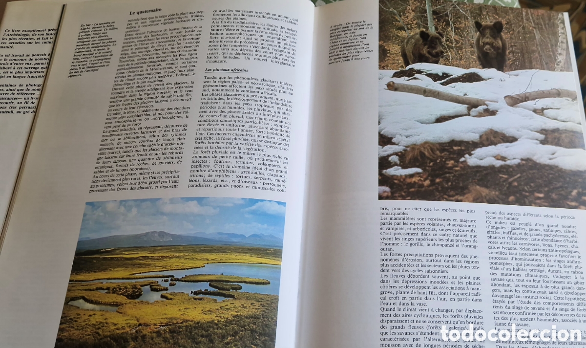 Libros: ARCHEOLOGIE L.Fasani - Foto 2